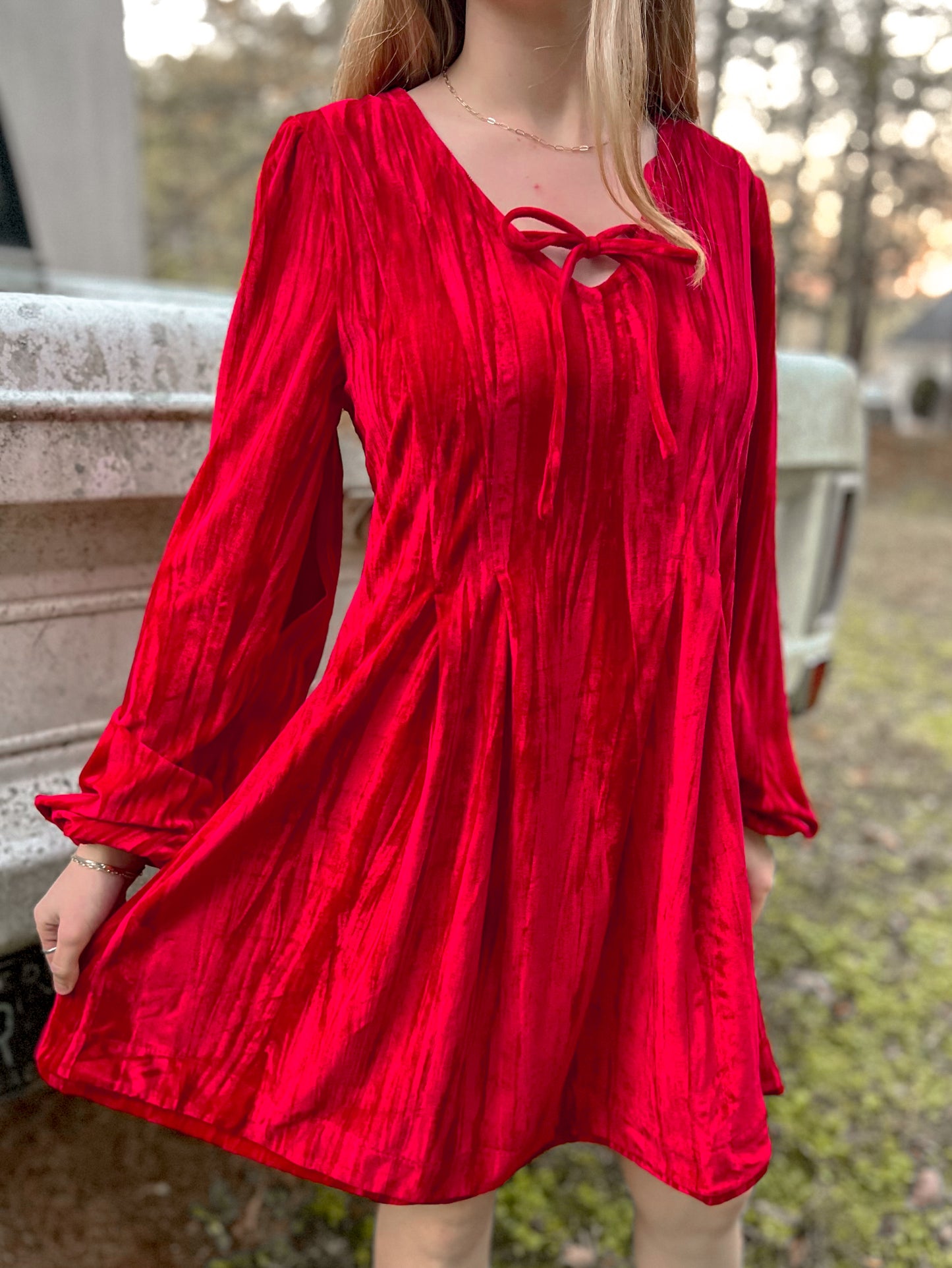 Velvet Winterberry Dress