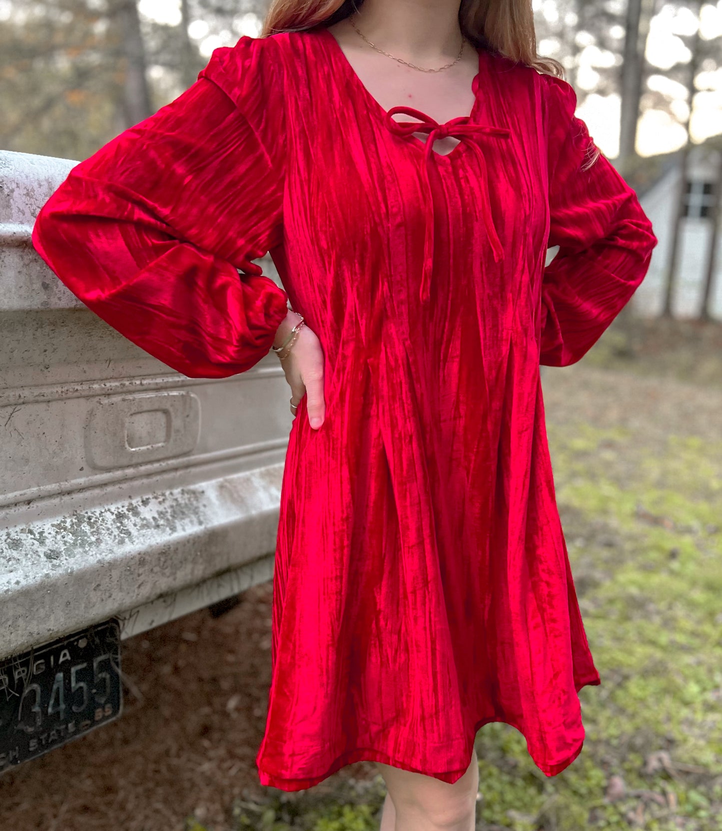 Velvet Winterberry Dress