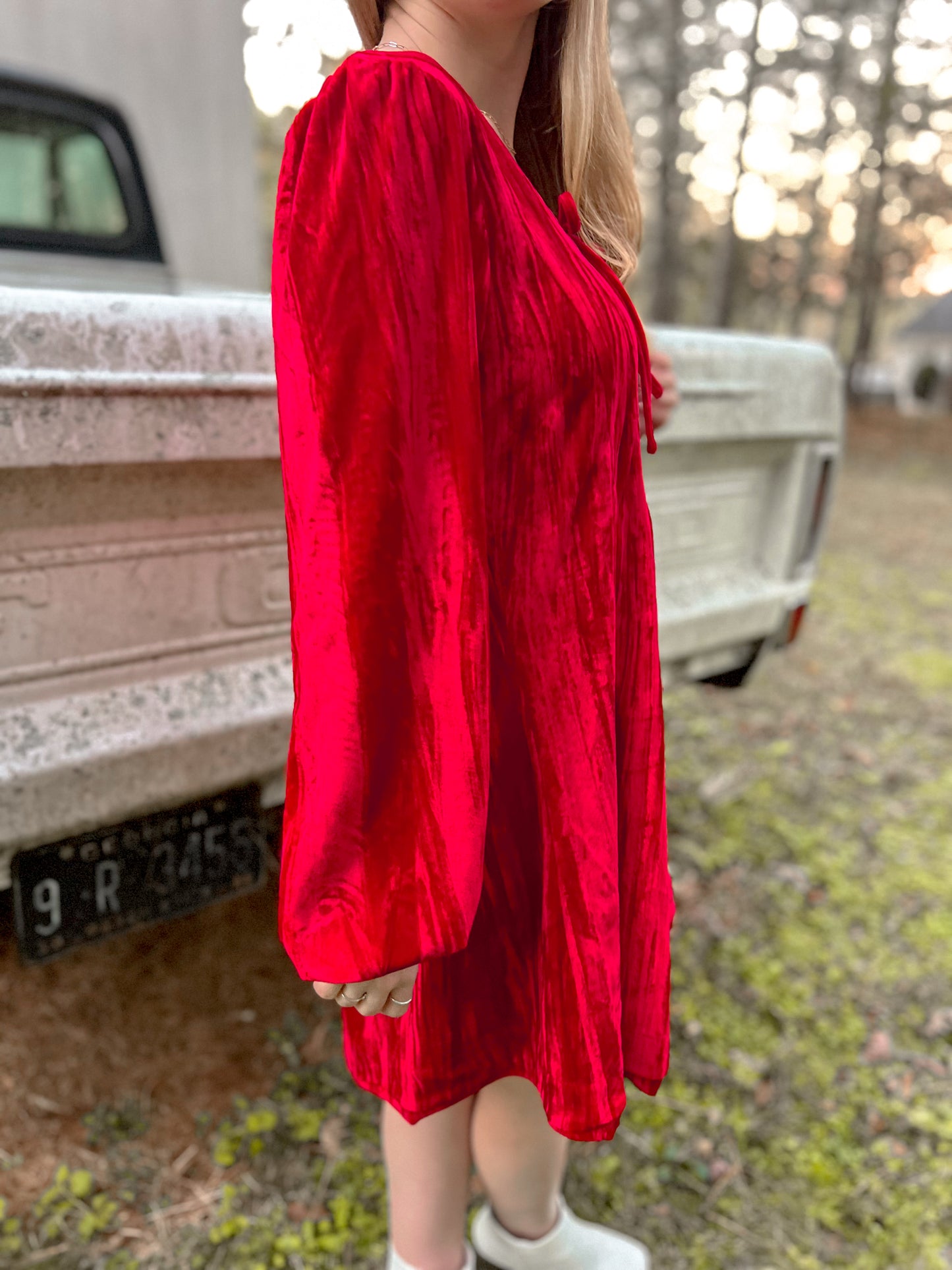 Velvet Winterberry Dress